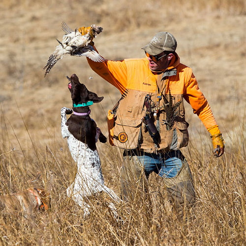 Aaron Schroder dog trainer | Double A Outfitting & Gun Dogs